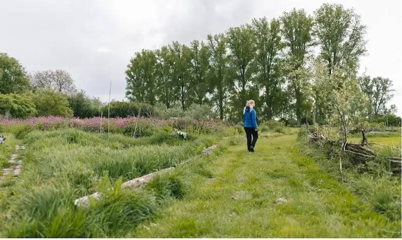 Natuur rondom Vlierhof in Kleve-Keeken